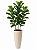 Arranjo alto de ficus lyrata - Imagem 1