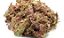 Musgo Sphagnum 100 gramas - Imagem 2