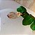 Pingente Citrino Bruto - Folheado a Ouro - Imagem 2