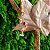 Colar Espiral Pedras Mistas - Folheado a Ouro - Imagem 2