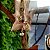 Colar Espiral Pedras Mistas - Folheado a Ouro - Imagem 3