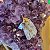 Pingente Hippie Cristal de Quartzo Bruto - Folheado a Ouro - Imagem 2