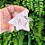 MERKABAH - Imagem 2