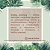 Brinco Argola Cristal Hexagonal- Folheado a Ouro - Imagem 5