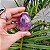 Yoni Egg Ametista - Imagem 1