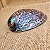 Concha Natural Abalone - Imagem 1