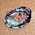 Concha Natural Abalone - Imagem 3