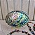 Concha Natural Abalone - Imagem 1
