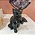 Gato Obsidiana Negra - Imagem 1