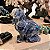 Cachorro Sodalita - Imagem 1