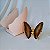Borboleta Ágata Marrom - Borda Dourada - Coleção Asas - Imagem 1