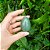 Yoni Egg Quartzo Verde - Imagem 1