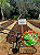 Plantadeira de Empurrar AG61 AllAgri - Imagem 4