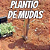 Plantadeira de Mudas  AG40 - Imagem 2