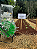 PLANTADEIRA E ADUBADEIRA DE EMPURRAR AG60 - Imagem 5