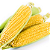 Sementes de Milho Doce Azteca M-3 Topseed - 500 Gr - Imagem 2