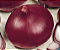 Sementes De Cebola Roxa Red Creole C-5 Topseed - 100g - Imagem 2