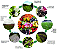 MIX HORTALIÇAS - Imagem 2