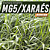 Sementes Brachiaria Brizantha Xaraes Mg-5 - Imagem 2