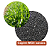 Sementes Brachiaria Brizantha Xaraes Mg-5 - Imagem 1
