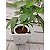 Irrigador Para Vasos Netbow 8 Saidas Netafim 25cm - 10 Unid - Imagem 3