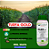 Turfa Liquida Adubo Cama Aviaria Substitui Esterco - 5 Litros - Imagem 4