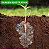 Gel de Plantio – Hidrogel Agrícola 1kg - Imagem 2