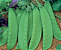 Sementes De Ervilha Torta De Flor Roxa Topseed - 100gr - Imagem 2