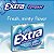 Extra Gum - Chiclete De Hortelã- Pimenta Sem Açúcar Peppermint Goma de Mascar - Imagem 2