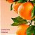 (SOB ENCOMENDA) Victoria's Secret - Kit Travel Clementine Hibiscus Feel Energized - Imagem 3