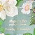 Victoria's Secret - Body Splash Sparkling Blooms - Imagem 2
