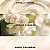 Victoria's Secret - Body Splash Darling Vanilla Jasmine - Imagem 3