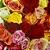 GUARDANAPO 20 UNIDADES - BOTÕES E ROSAS COLORIDAS - Imagem 1