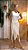VESTIDO ROMA - Imagem 5