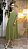 VESTIDO YAMAGUCHI - Imagem 12