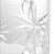 JARRA DE CRISTAL PALM TREE TRANSPARENTE 1,4L - WOLFF - Imagem 5