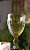 TAÇA DE VIDRO PARA ÁGUA GREEK VERDE 345ml - WOLFF - Imagem 2
