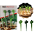 PALITO PARA PETISCOS CACTOS - CLINK - Imagem 1