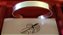 Pulseiras Bracelete Ajustavel de Prata 950k - Modelo Unissex de 10mm de Largura - Imagem 3