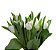 Tulipa maço com 10 hastes cor surpresa - Imagem 3