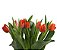 Tulipa maço com 10 hastes cor surpresa - Imagem 4