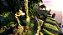 Jogo Uncharted: Drake's Fortune Hits - PS3 - USADO - Imagem 3