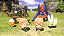Jogo World of Final Fantasy - PS4 - Usado - Imagem 4