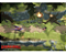 Jogo DreamWorks Dragons Dawn of New Riders – PS4 Midia Fisica Novo Lacrado - Imagem 3