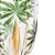 Conjunto 6 Taças Cristal Palm Tree Handpaint - Imagem 5