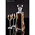 Conjunto 6 Taças Cristal para Licor Gastro Colibri - Imagem 6
