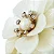 Conjunto 4 Anéis para Guardanapos Plástico Flor - Imagem 2