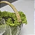 Bowl Vidro Com Alça Rattan 25cm - Imagem 4