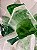 Escultura Decoratica - Transparente Flor Verde - Imagem 2