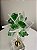 Escultura Decoratica - Transparente Flor Verde - Imagem 4